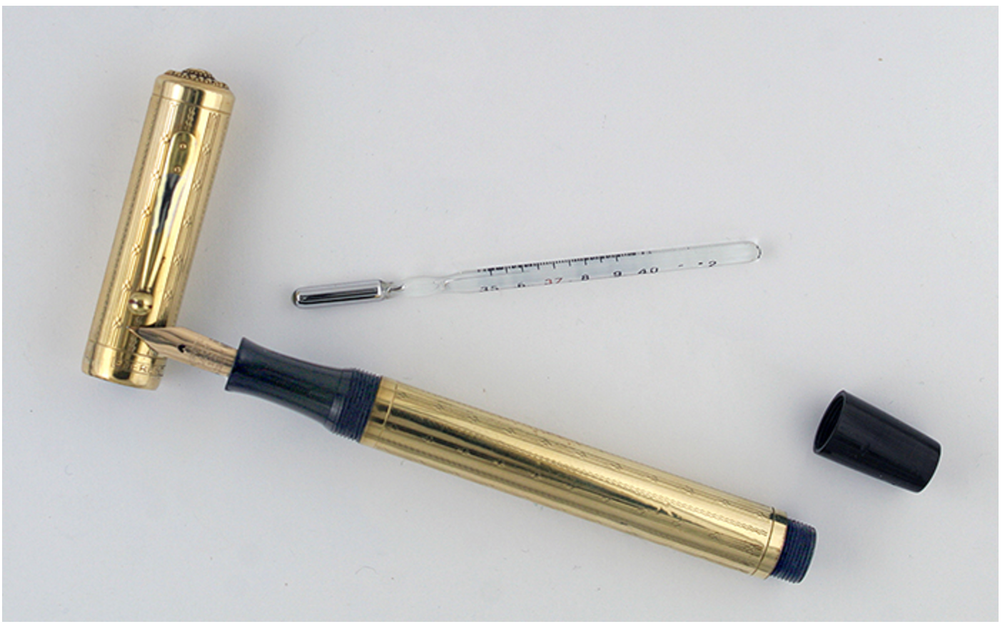 Extraordinary Vintage Pen Everest Doctor's Pen