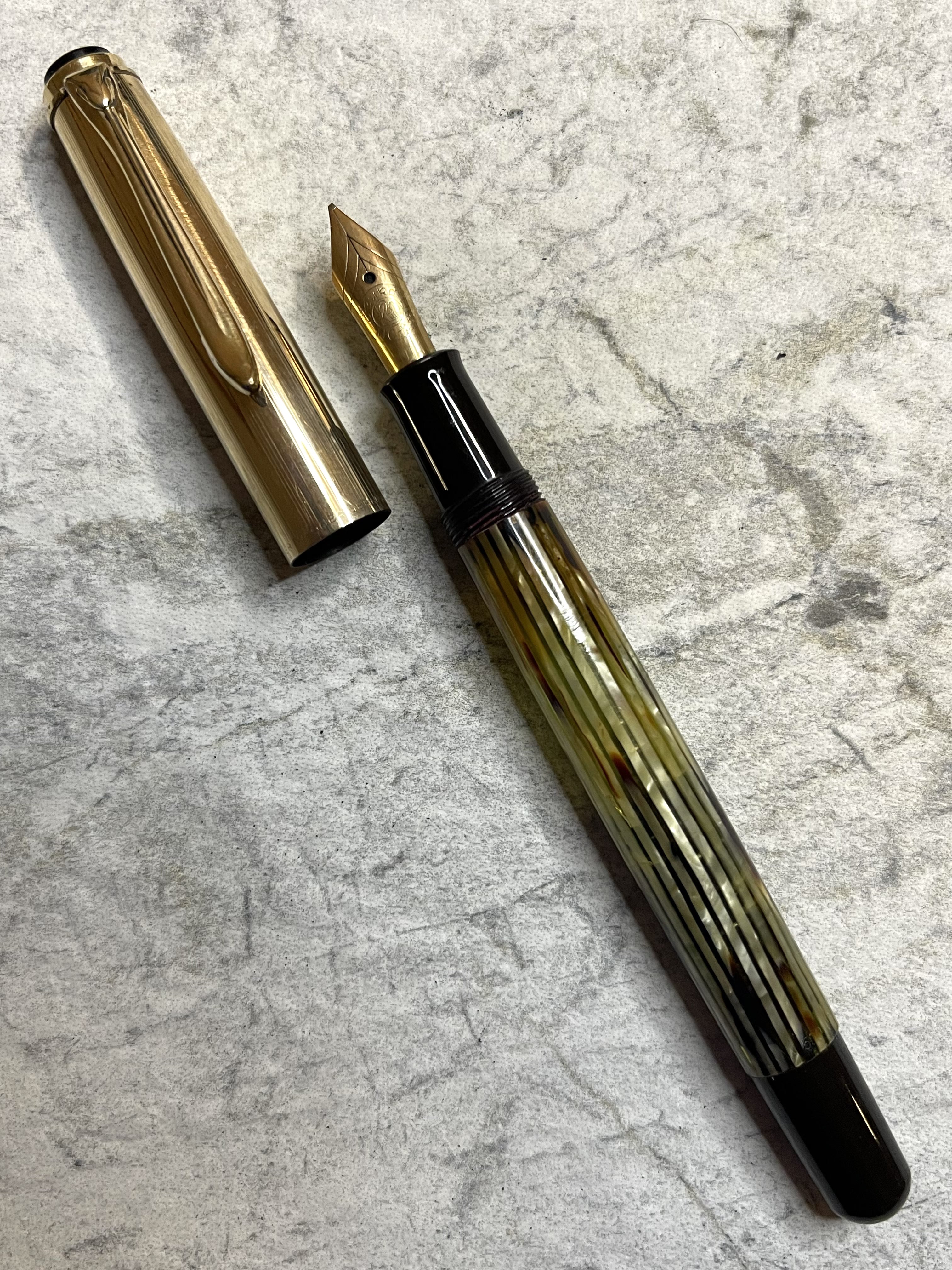Pelikan 500N Tortoise
