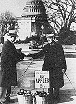 Apples in DC